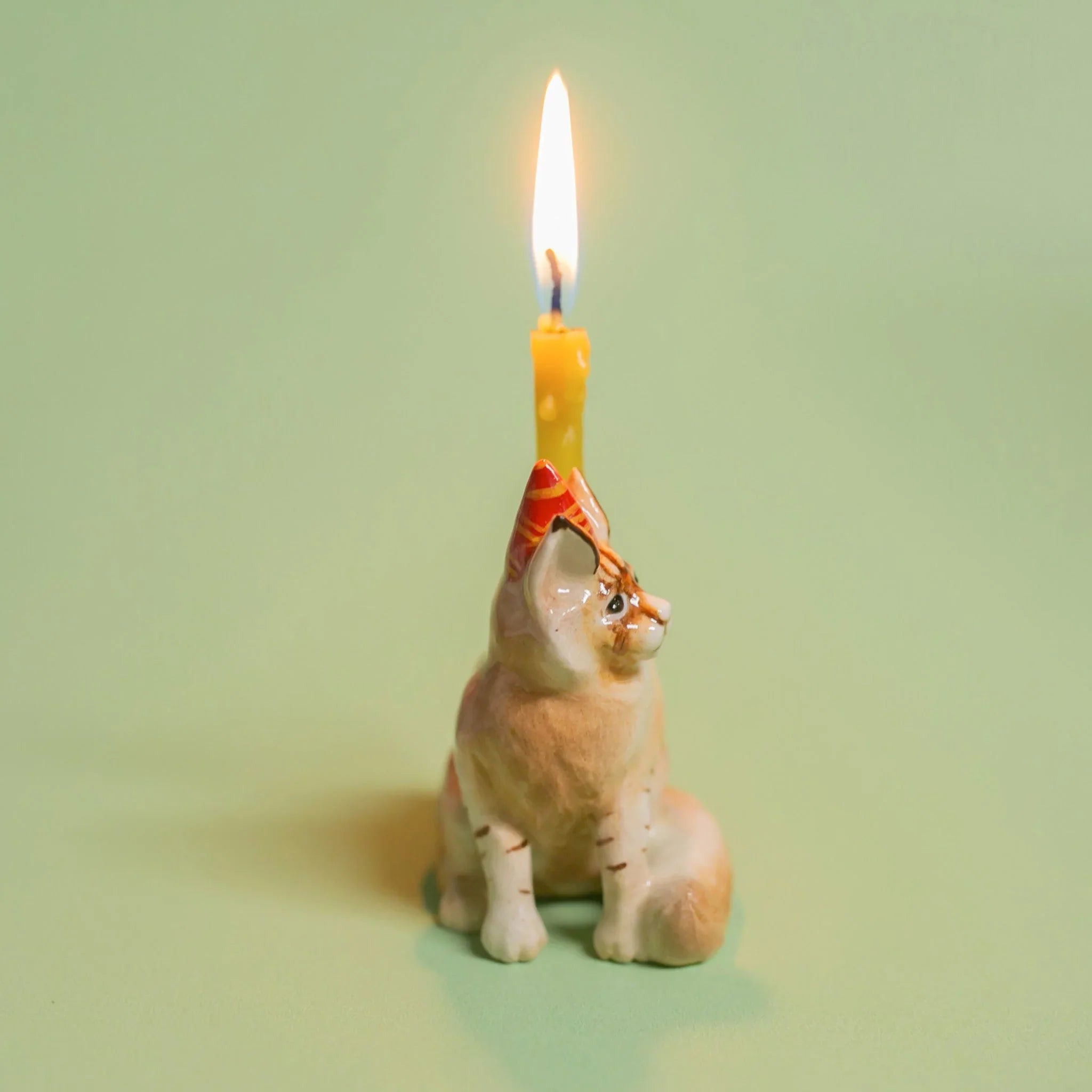 Maine Coon Cat Cake Topper
